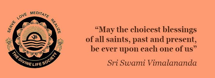 Message of Sri Swami Vimalananda Saraswati (November 21, 2010)